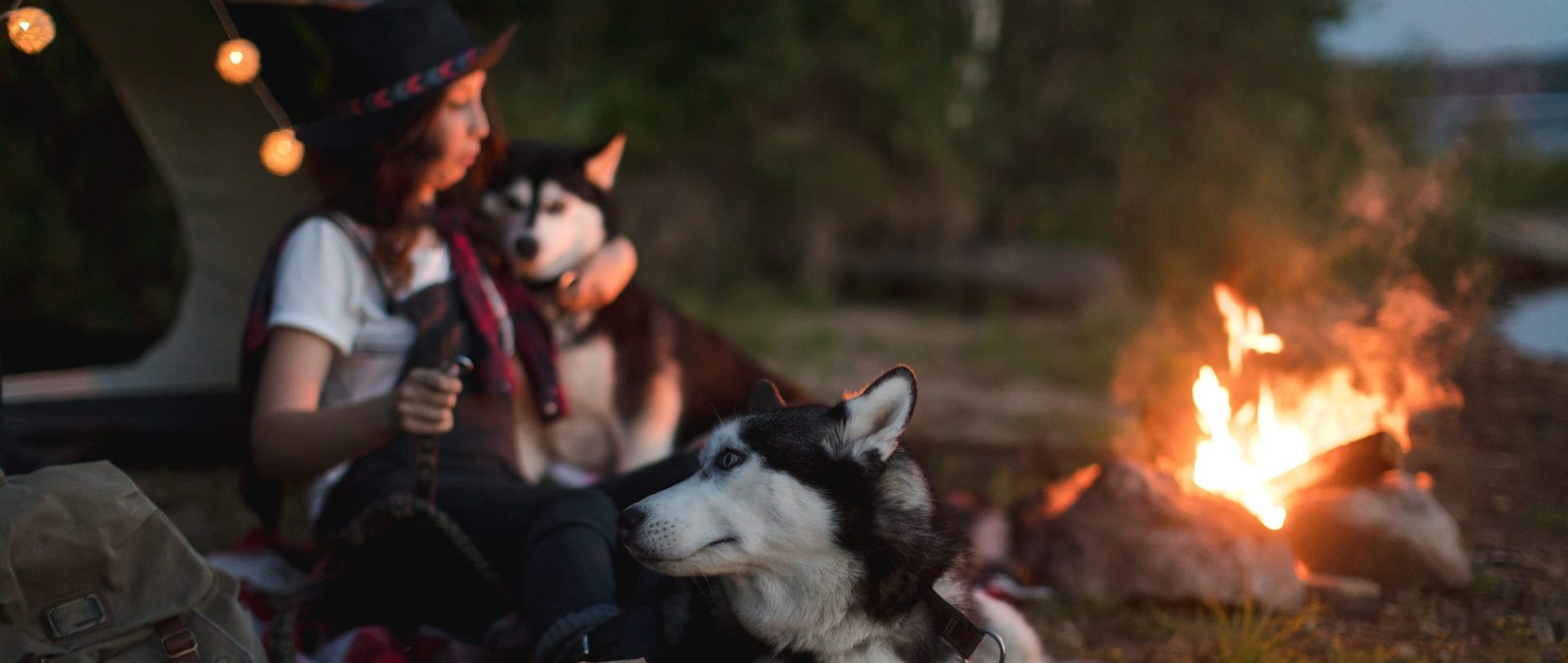 Woman with dogs in nature