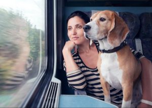 Woman travel with dog into the train wagon