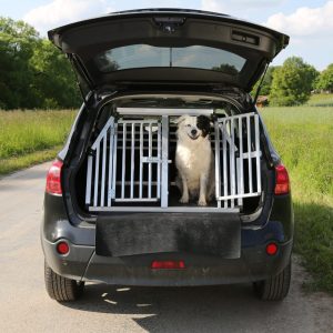 Hund in einem Auto auf Reisen