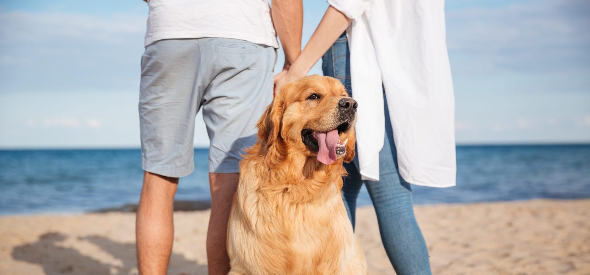 Cute dog walking with young couple on the beach