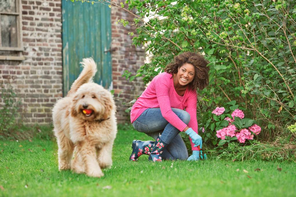 Ob im Garten oder in der Wohnung - Achte auf deinen Vierbeiner | Lieblingstier