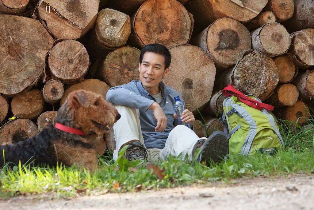 Hitzeschutz Hunde | Lieblingstier