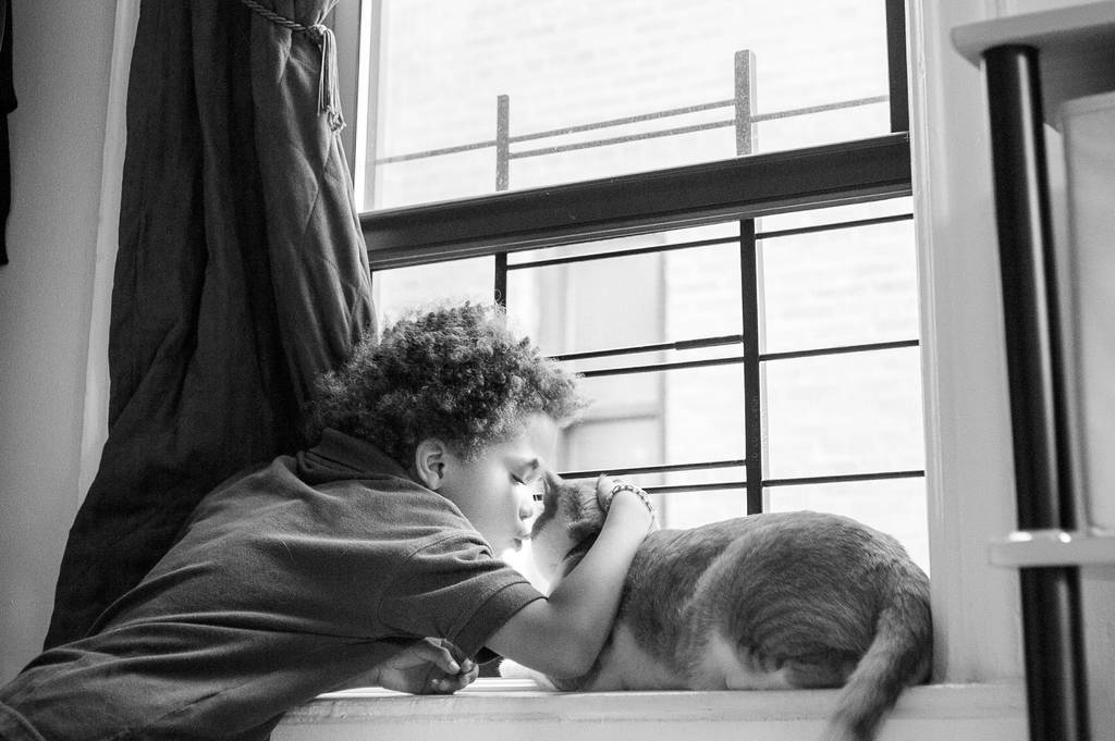 Darf ich bei Katzenschnupfen mit meiner Samtpfote schmusen? | Lieblingstier