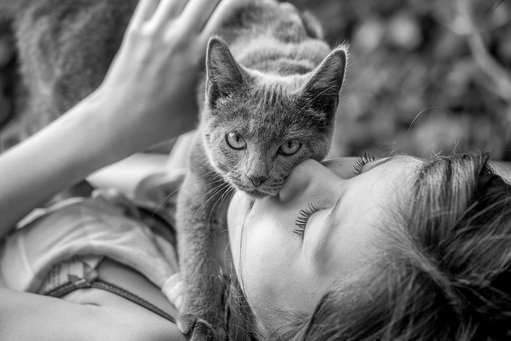 Sorge dich um die Gesundheit deines Tieres | Lieblingstier