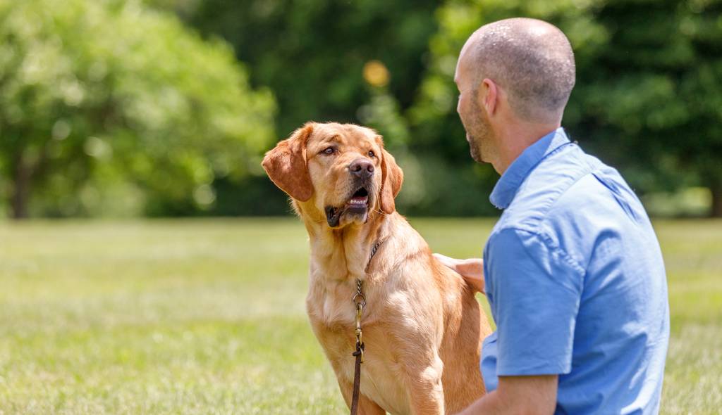 Hilf deinem Hund über seine Ängste hinweg | Lieblingstier