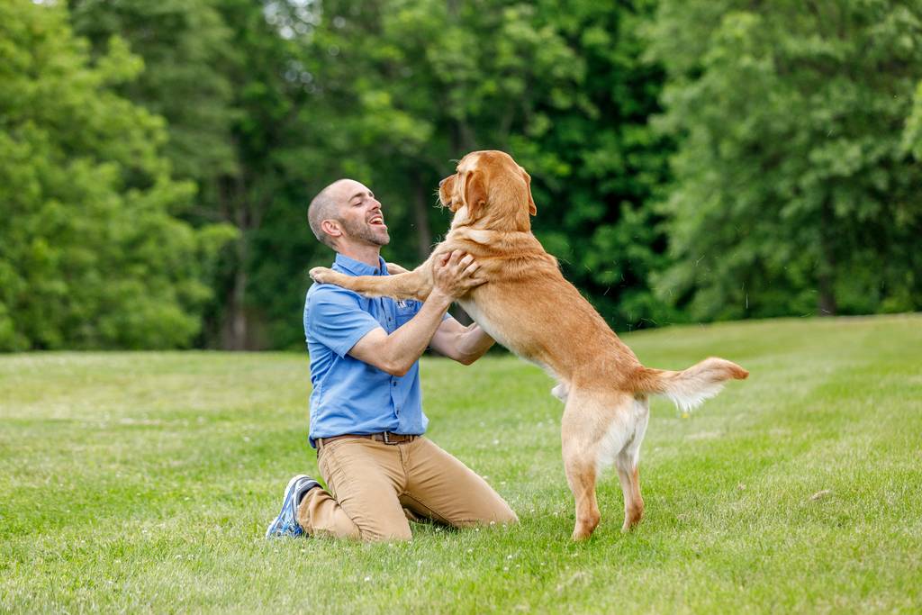 Die richtige Hundeschule | Lieblingstier