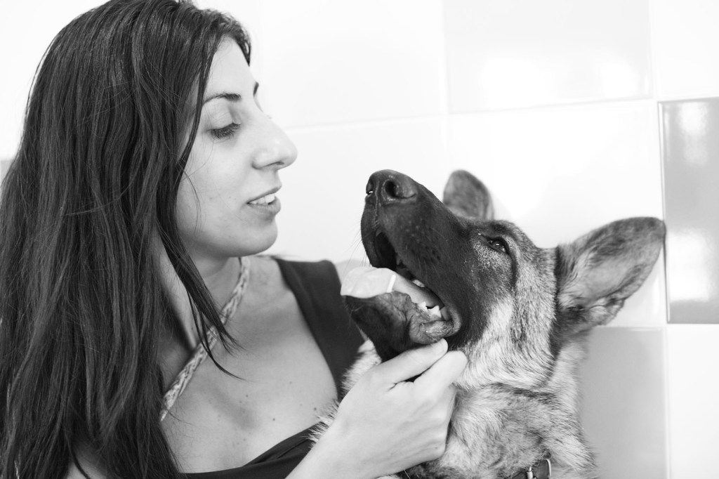 Wende dich bei Fragen zu Herpes beim Hund an deinen Tierarzt | Lieblingstier