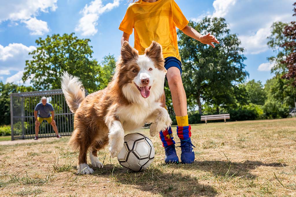 Training baut Vertrauen auf | Lieblingstier